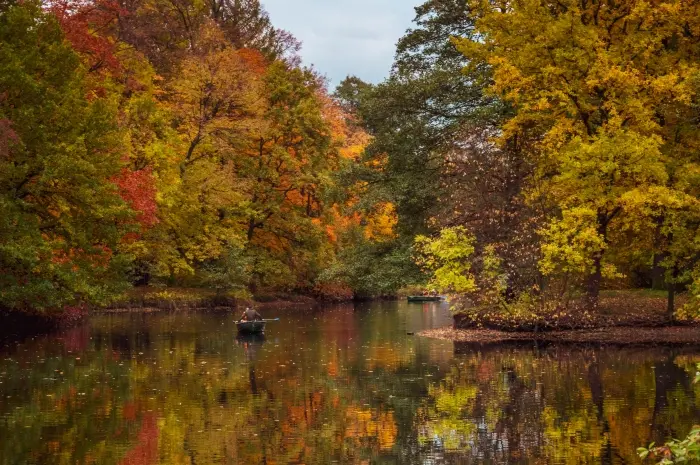 Fall Foliage 10 Best Places to See Autumn Colors Around the World