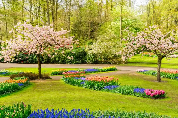 Spring Scenery 8 Best Destinations to Enjoy Nature's Bloom