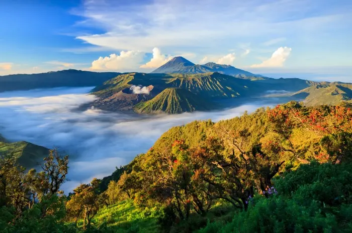 Tourist Attractions in Malang, Perfect Destinations for a Fun Vacation
